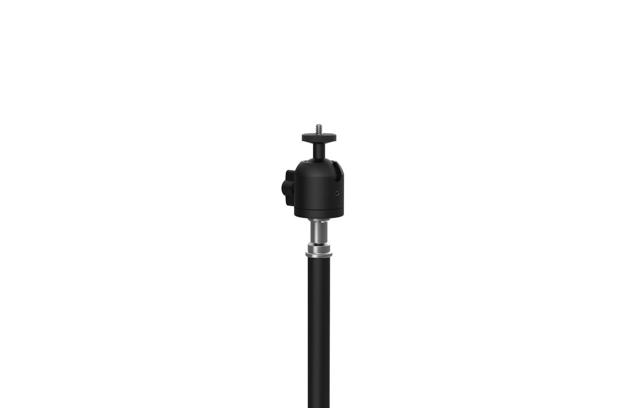CLAYMORE QUICK STAND ball head mount